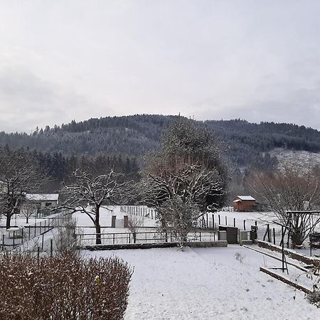 Chez Vovone 3 Etoiles Clevacances Saulxures-sur-Moselotte Екстериор снимка