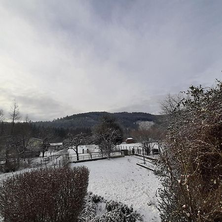 Chez Vovone 3 Etoiles Clevacances Saulxures-sur-Moselotte Екстериор снимка