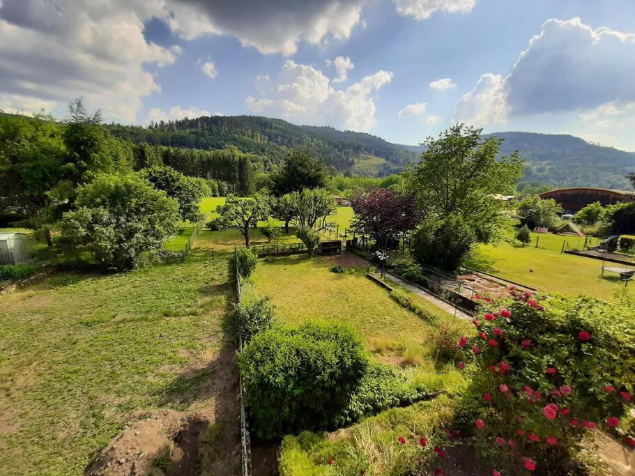 Chez Vovone 3 Etoiles Clevacances Saulxures-sur-Moselotte Екстериор снимка