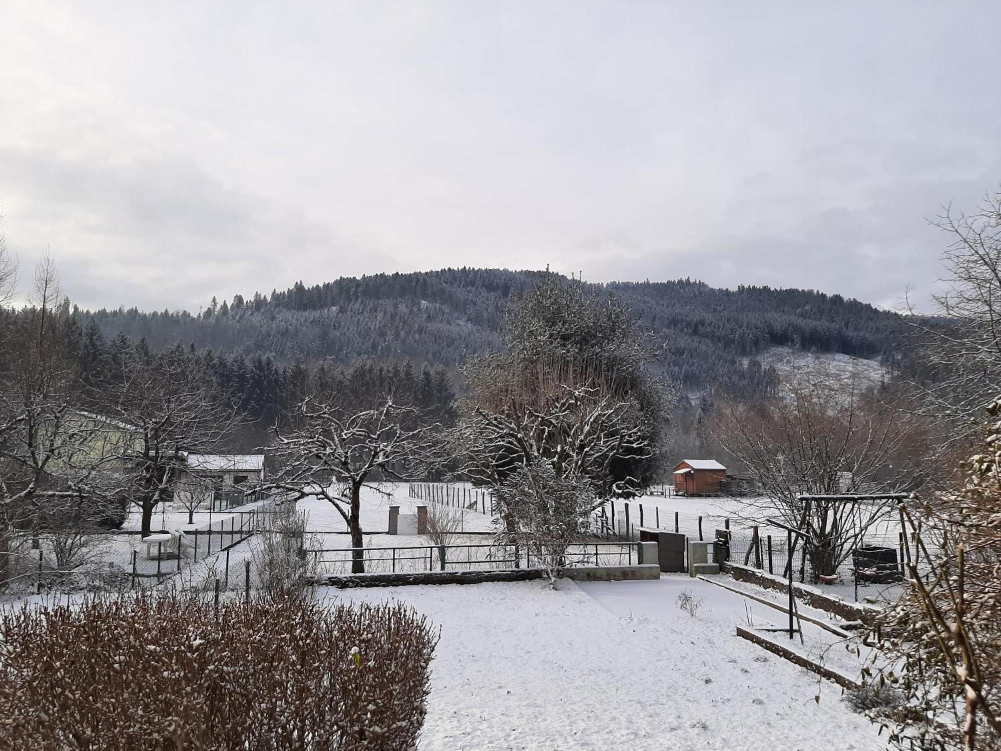 Chez Vovone 3 Etoiles Clevacances Saulxures-sur-Moselotte Екстериор снимка