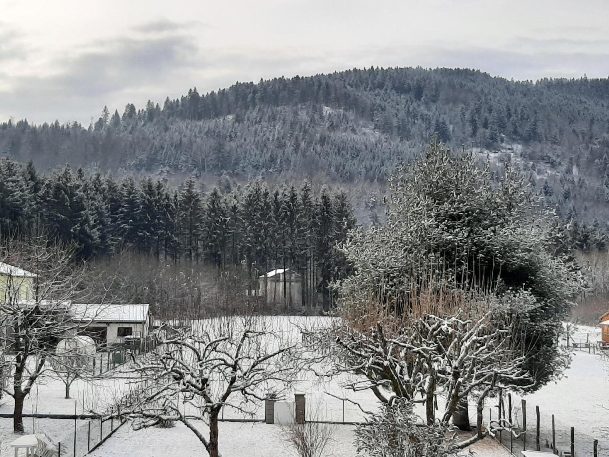 Chez Vovone 3 Etoiles Clevacances Saulxures-sur-Moselotte Екстериор снимка