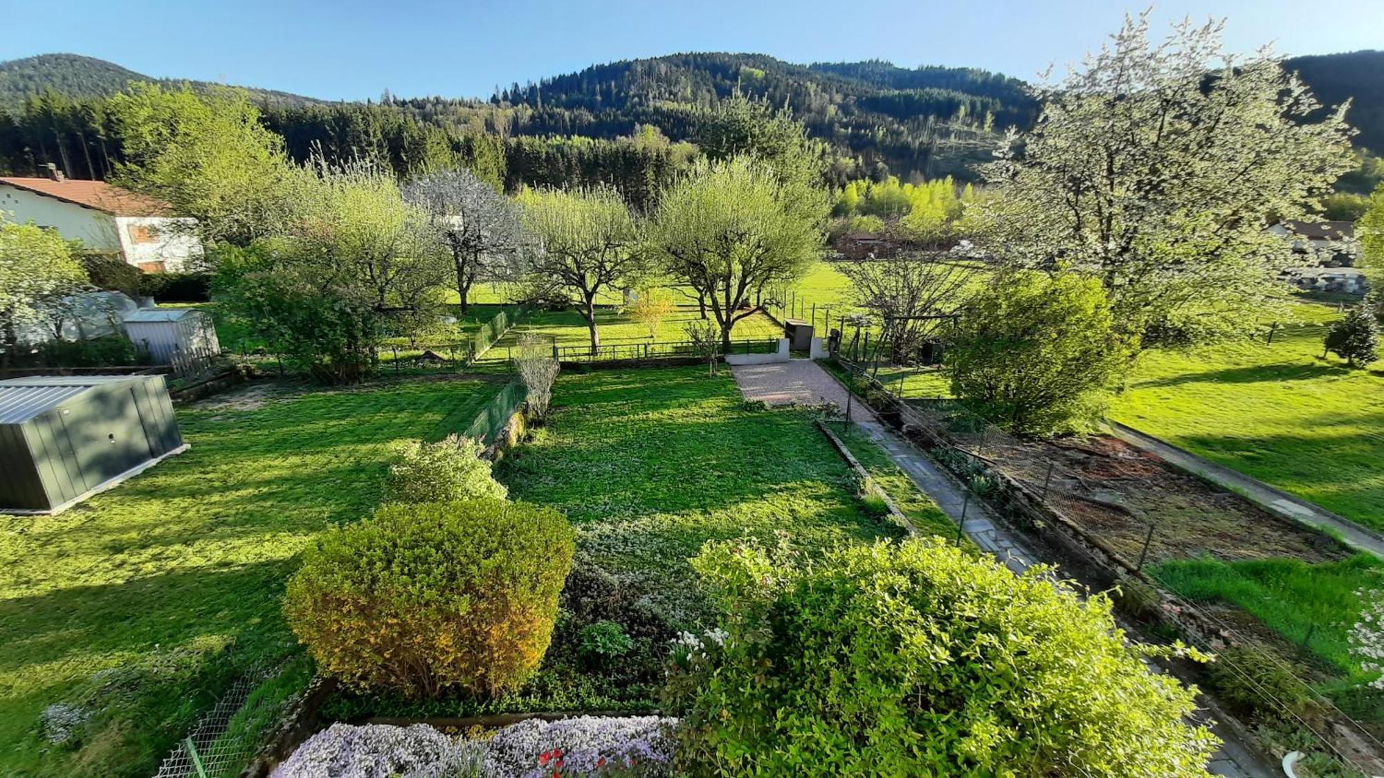 Chez Vovone 3 Etoiles Clevacances Saulxures-sur-Moselotte Екстериор снимка