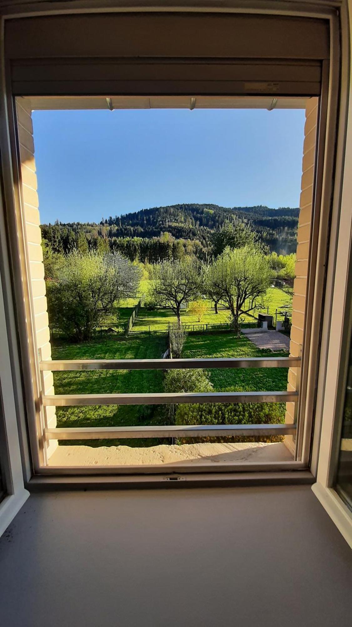 Chez Vovone 3 Etoiles Clevacances Saulxures-sur-Moselotte Екстериор снимка